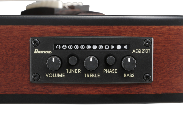 Ibanez FRH20SMN-TCL